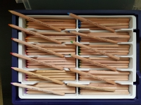 Spalvotų pieštukų rinkinys konteineryje ugdymo įstaigoms, 144 pieštukų 12 vnt. x 12 spalvų